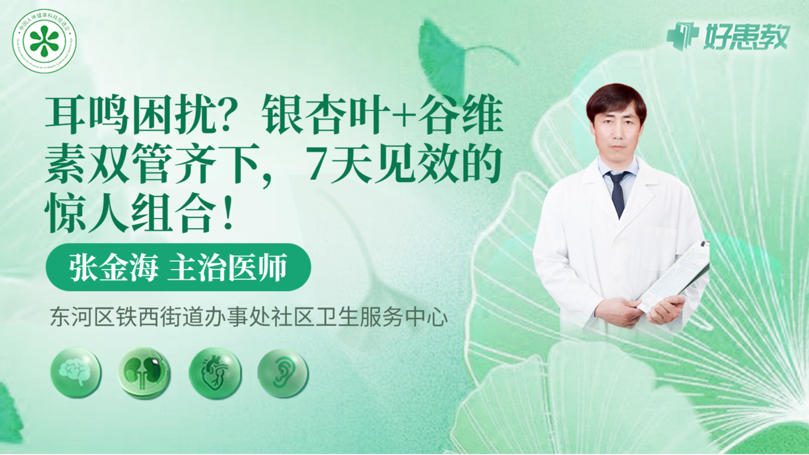 科普，银杏叶+谷维素双管齐下，7天<span style="color: #da4707">见效</span>的惊人组合！