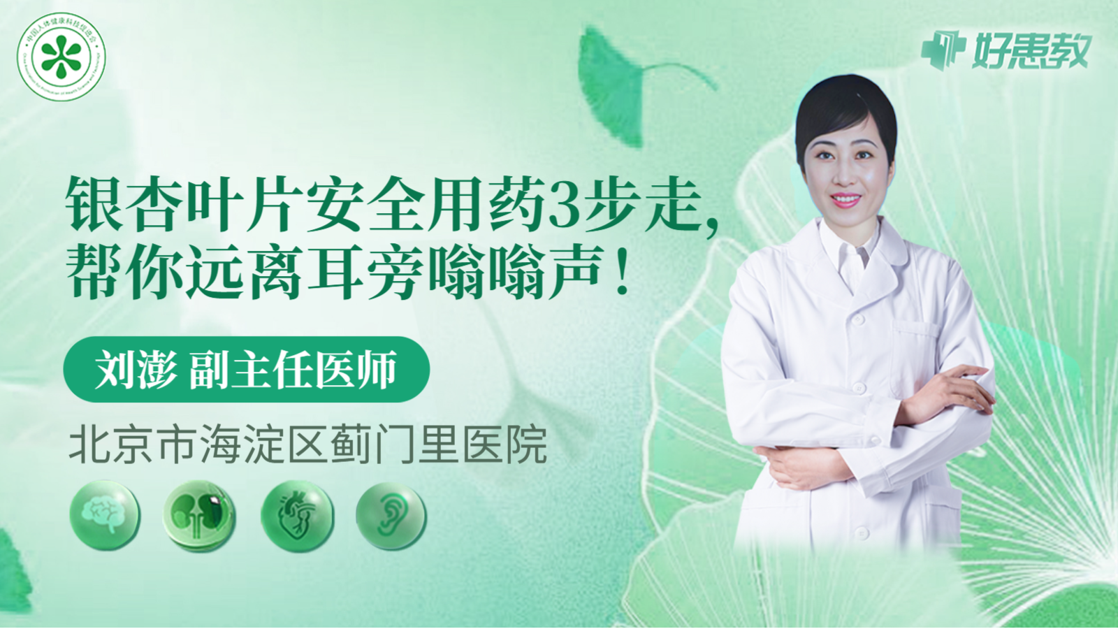 科普，银杏叶片安全用药3步走，帮你远离耳旁嗡嗡声！