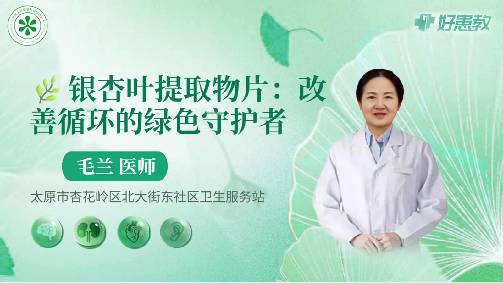 科普，🌿银杏叶提取物片：<span style="color: #da4707">改善</span><span style="color: #da4707">循环</span>的绿色守护者