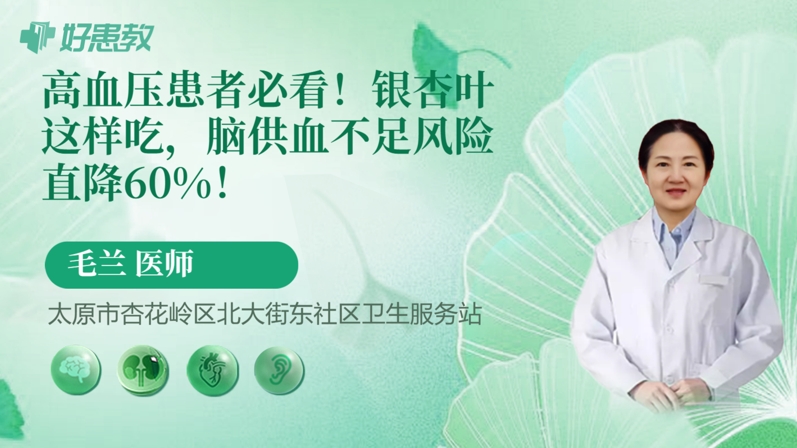 科普，高血压患者必看！银杏叶这样吃，脑供血不足风险直降60%！