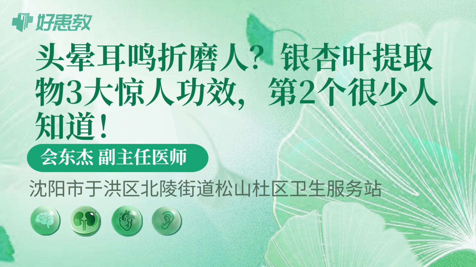 头晕耳鸣折磨人？银杏叶提取物3大惊人功效，第2个很少人知道！