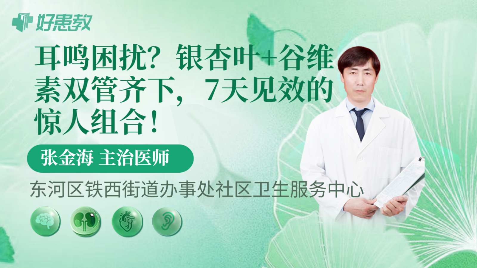 耳鸣困扰？银杏叶+谷维素双管齐下，7天见效的惊人组合！