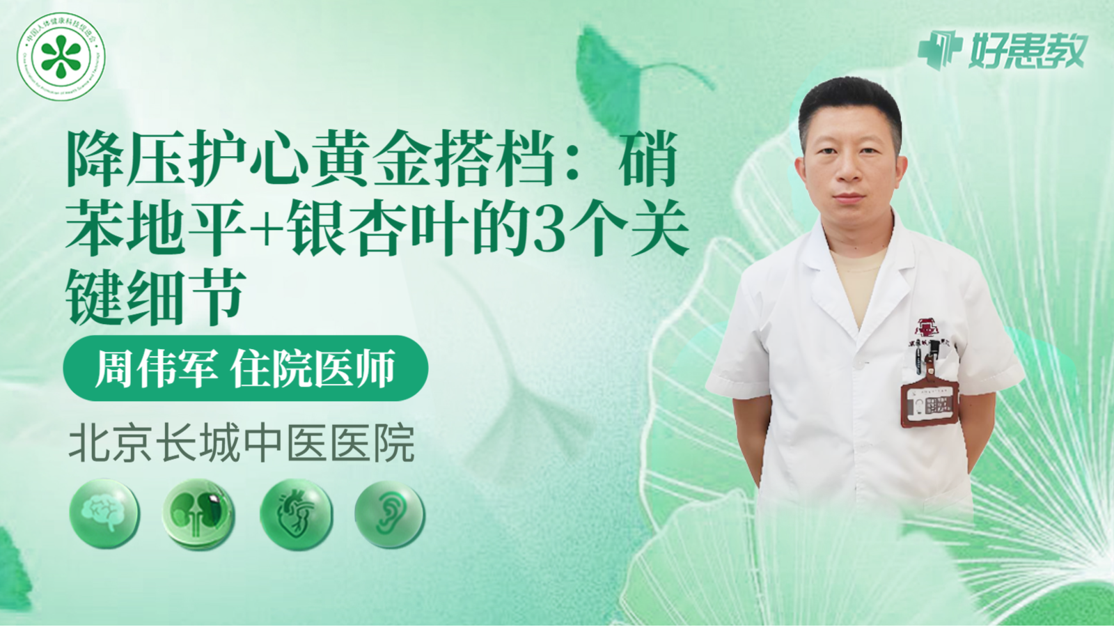 科普，降压<span style="color: #da4707">护</span><span style="color: #da4707">心</span>黄金搭档：硝苯地平+银杏叶的3个关键细节