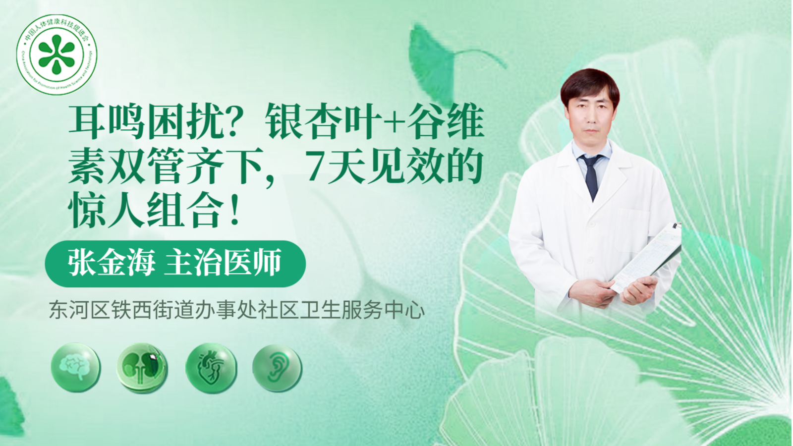 科普，银杏叶+谷维素双管齐下，7天<span style="color: #da4707">见效</span>的惊人组合！