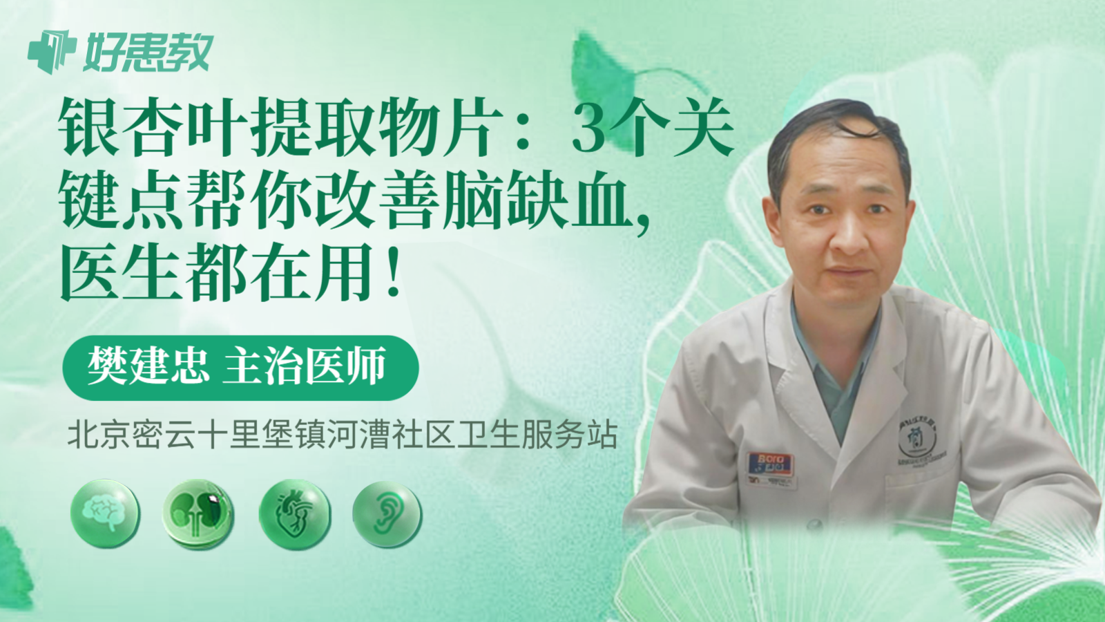 科普，银杏叶提取物片：3个关键点帮你改善脑缺血，医生都在用！