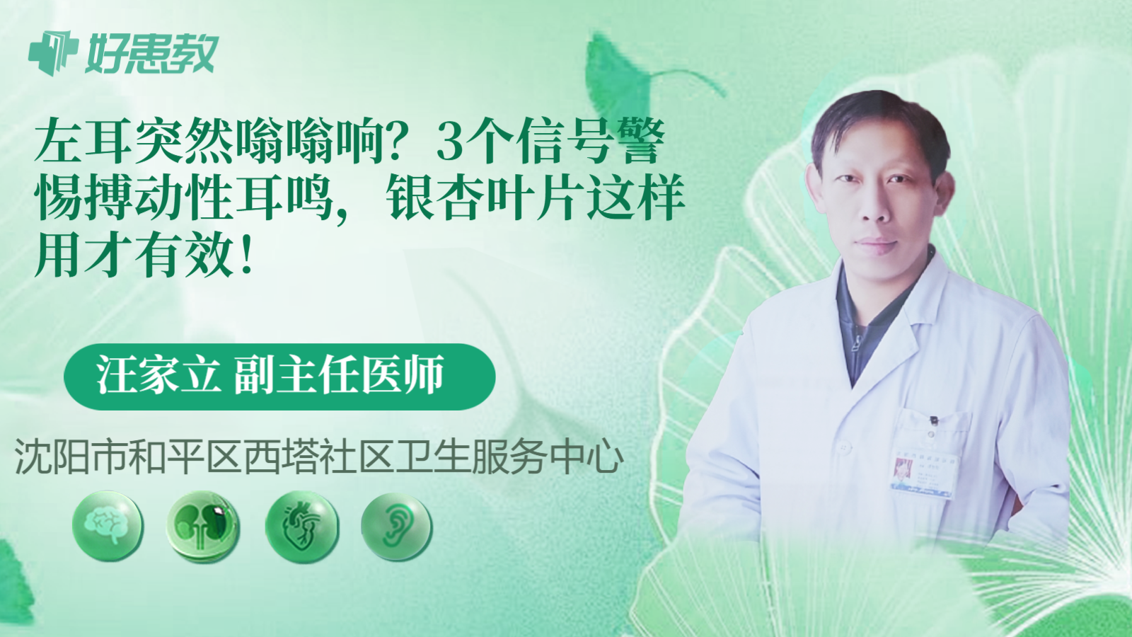 科普，左耳突然嗡嗡响？3个信号警惕搏动性耳鸣，银杏叶片这样用才有效！