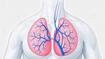 了解乳腺癌的类型、诊断与治疗方式