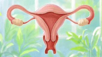 宫颈癌：不可忽视的女性健康杀手