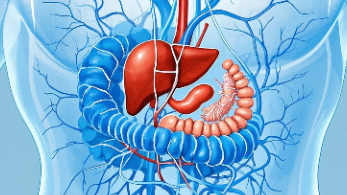<span style="color: #da4707">腹痛</span>的早期<span style="color: #da4707">识别</span>与防治：了解更多关键信息