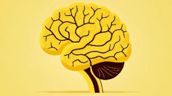 缺氧缺血性脑病的诊断与管理： 从基础到实践