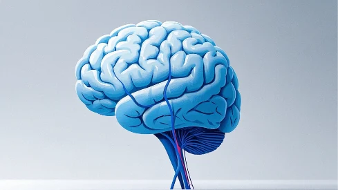 全面解析急性脑梗塞与伴发症状的科学管理