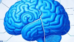 脑脓肿:识别、急救与应对指南