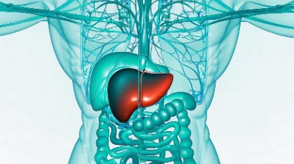儿童感染性腹泻与肠炎:家长须知与预防