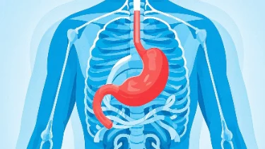 谨防贲门癌——贲门癌的预防、症状与治疗