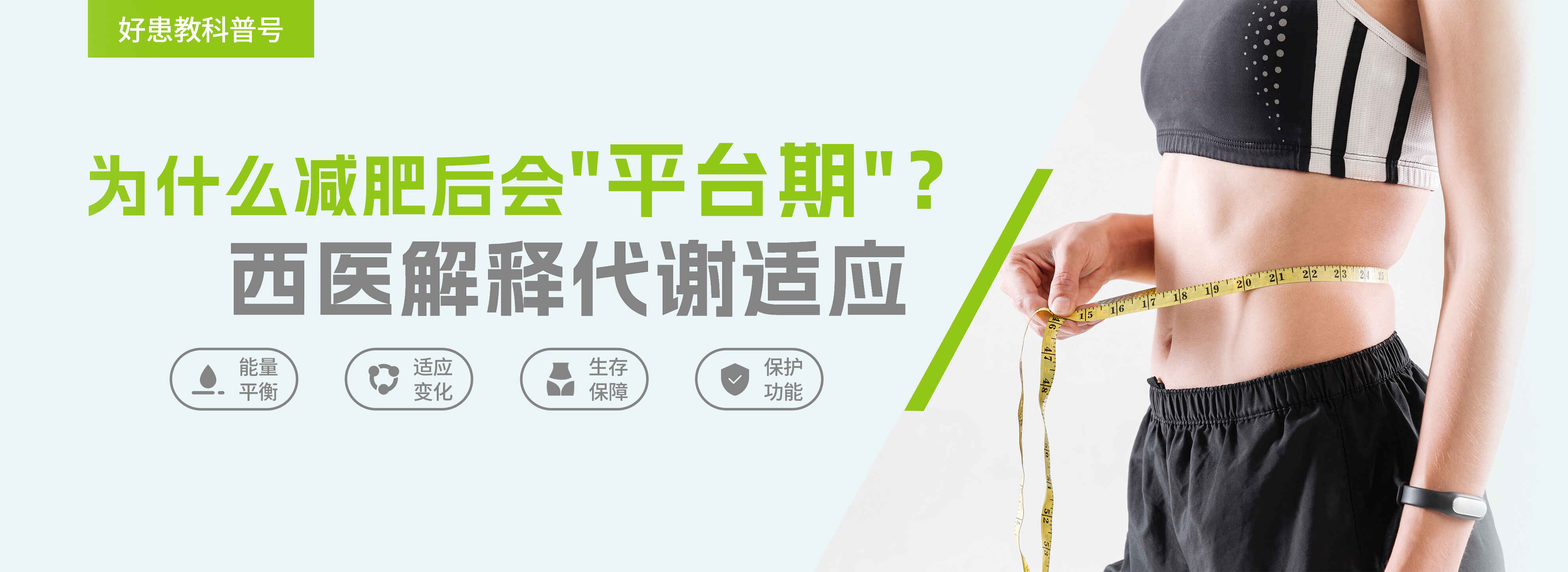 为什么减肥后会"平台期"？西医解释代谢适应