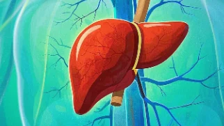 深入了解肝脏肿瘤：从诊断到治疗的全面解析