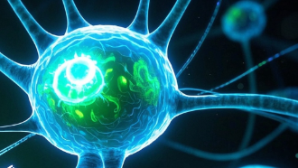 科普，调控食欲的神经环路：探索引发饥饿与满足的秘密