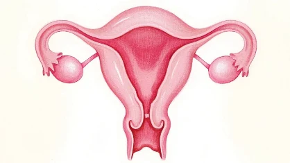 关于卵巢囊肿及相关子宫疾病的全面解析