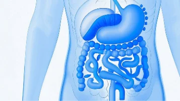 胃不适竟是胃炎引发——识别并战胜你的胃病困惑!