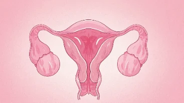 宫颈癌早知道——女性健康的头号杀手!