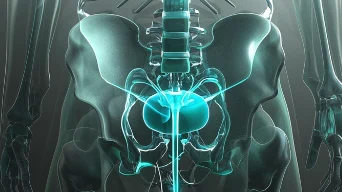 从骨盆骨折到生命救援：急救处理全攻略