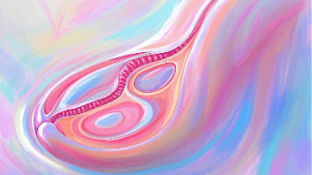 与乳腺癌<span style="color: #da4707">抗战</span>到底：风险、治疗与预防全面科普