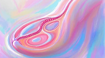 与乳腺癌抗战到底:风险、治疗与预防全面科普