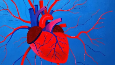 心律失常如何应对?科学指南助你安心