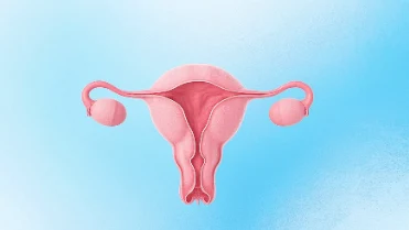 全面解析子宫内膜癌:从病因到诊疗