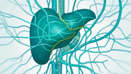 老年患者胆囊结石合并急性胆囊炎的临床诊断与管理
