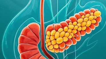 关注健康，从“胰腺”开始——胰腺癌的真相解读与防治方法