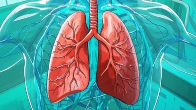 呼吸道感染:全面解析病因、症状及科学治疗