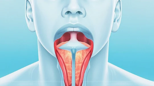 全面解析会厌囊肿：从诊断到治疗