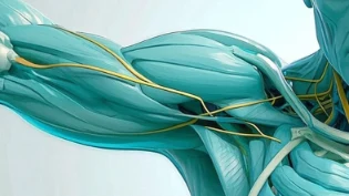 肩周炎的科学解读与健康管理策略