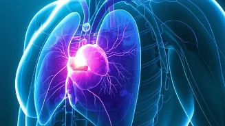 乳腺癌的风险、识别与应对:一份自然权威的健康指南