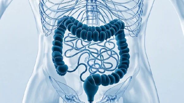 细菌性肠炎的综合管理与治疗策略