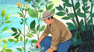 科普，四季轮转：<span style="color: #da4707">中医</span><span style="color: #da4707">药材</span>与水量的微妙关系