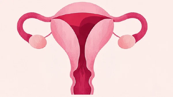 子宫肌瘤与子宫腺肌病：病因、诊断及治疗全解