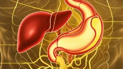 法特壶腹恶性肿瘤与肝继发肿瘤:挑战与治疗新机遇