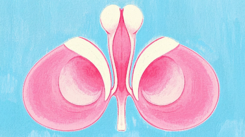 科普，“温柔杀手”的逆袭：luminal b型her2阳性乳腺癌的生存密码封面图