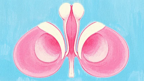 “温柔杀手”的逆袭:luminal b型her2阳性乳腺癌的生存密码