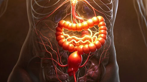 【生死时速】乙状结肠癌为何偏爱肝脏?