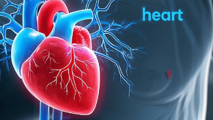 科普，<span style="color: #da4707">心衰</span>不再难：老年人日常护理全攻略