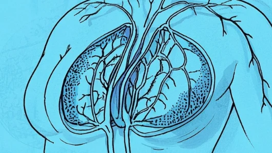 守护生命之花——乳腺健康不容忽视的警示与希望！