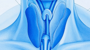 科普，咽喉要道的隐形<span style="color: #da4707">危机</span>