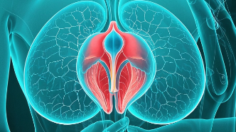 科普，乳腺癌化疗与护理：全面指南与<span style="color: #da4707">研究</span>前沿