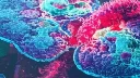 弥漫性大B细胞淋巴瘤:深入了解其特征与管理