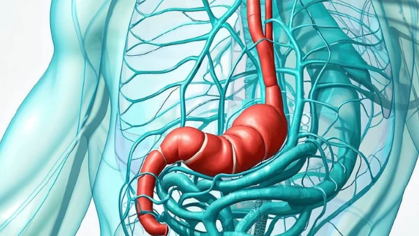 慢性胃炎：从诊断到管理的全面指南