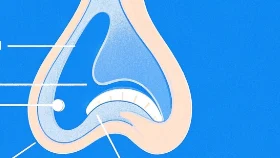 变应性鼻炎:如何应对“过敏鼻”的困扰?