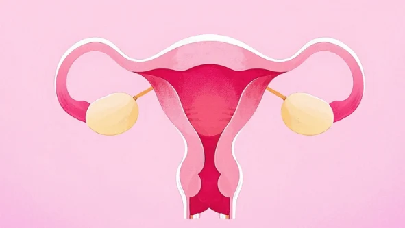 关注女性健康：识别子宫肌瘤与相关疾病